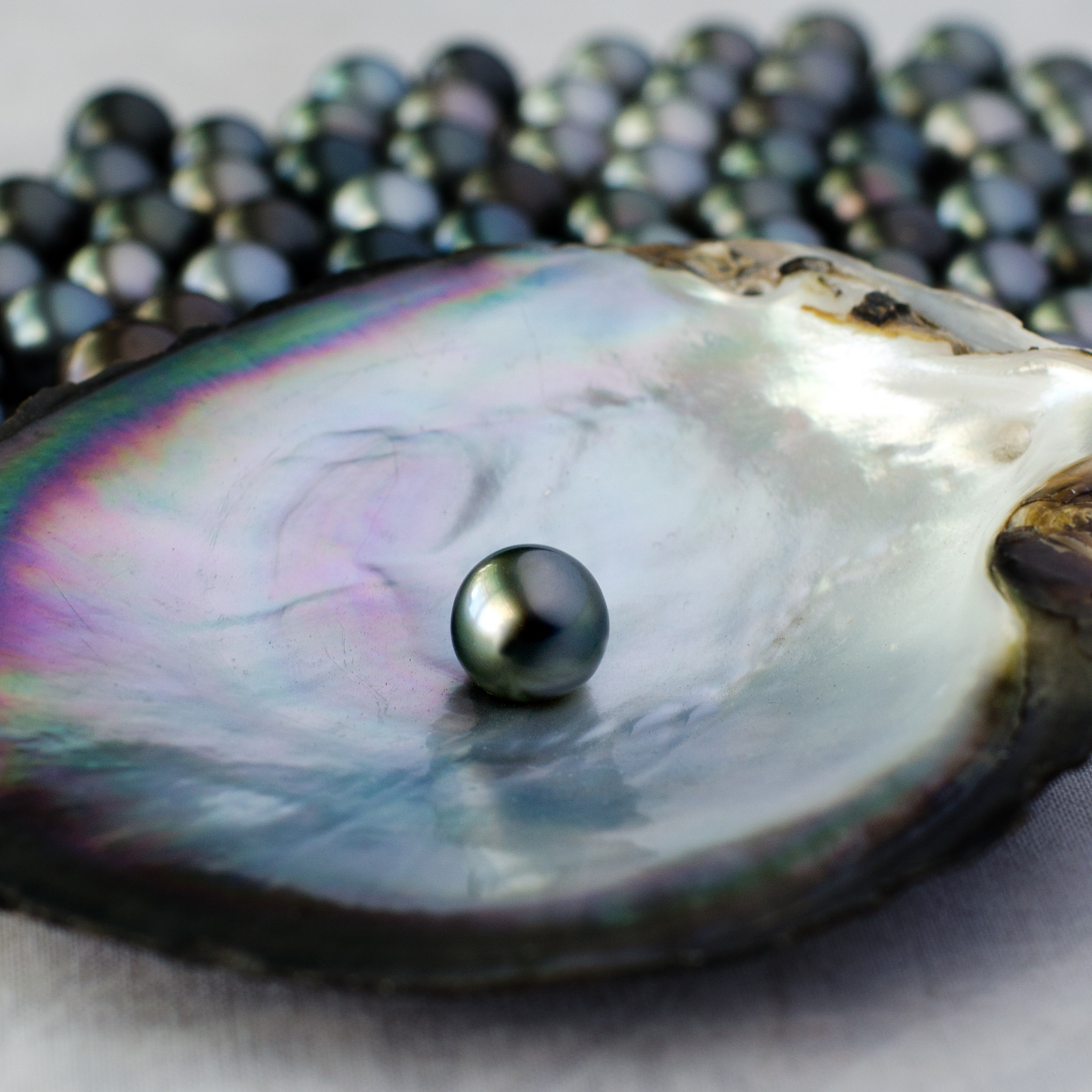 Black Tahitian Pearl Necklace - Natural 12mm Salt Water Pearl Pendant Necklace - Authentic Handmade in USA